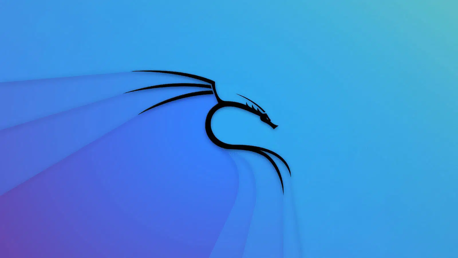 Kali Linux 20221 lanzado con 6 nuevas herramientas compatibilidad amplia